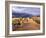 Mountain Bikers on the Slickrock Trail in Moab, Utah, Usa-Chuck Haney-Framed Photographic Print