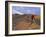 Mountain Bikers on the Zippy Doo Dah Trail in Fruita, Colorado, Usa-Chuck Haney-Framed Photographic Print