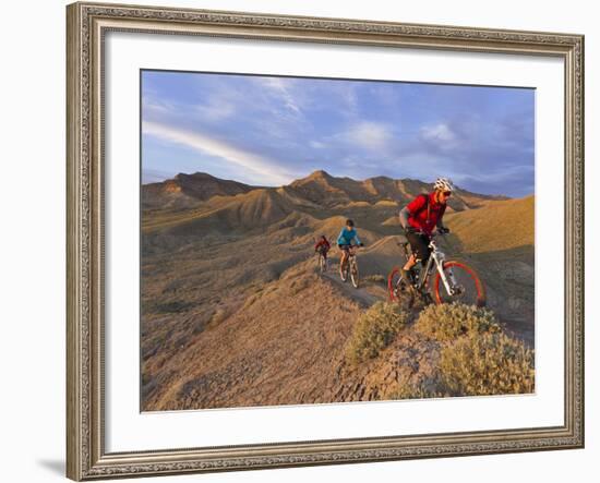 Mountain Bikers on the Zippy Doo Dah Trail in Fruita, Colorado, Usa-Chuck Haney-Framed Photographic Print