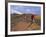 Mountain Bikers on the Zippy Doo Dah Trail in Fruita, Colorado, Usa-Chuck Haney-Framed Photographic Print