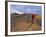 Mountain Bikers on the Zippy Doo Dah Trail in Fruita, Colorado, Usa-Chuck Haney-Framed Photographic Print