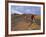 Mountain Bikers on the Zippy Doo Dah Trail in Fruita, Colorado, Usa-Chuck Haney-Framed Photographic Print