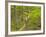 Mountain Biking at Brown County State Park in Indiana, Usa-Chuck Haney-Framed Photographic Print