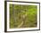 Mountain Biking at Brown County State Park in Indiana, Usa-Chuck Haney-Framed Photographic Print