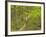 Mountain Biking at Brown County State Park in Indiana, Usa-Chuck Haney-Framed Photographic Print