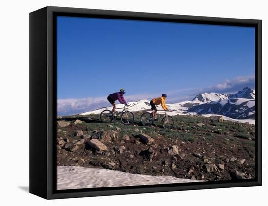 Mountain Biking in Loveland Pass, Colorado, USA-Lee Kopfler-Framed Premier Image Canvas