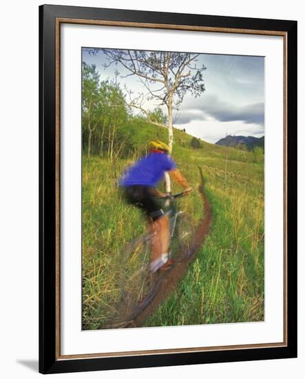 Mountain Biking in the Highwood Mountains, Montana-Chuck Haney-Framed Photographic Print