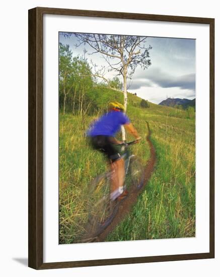 Mountain Biking in the Highwood Mountains, Montana-Chuck Haney-Framed Photographic Print