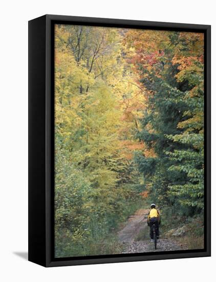 Mountain Biking on Old Logging Road of Rice Hill, Green Mountains, Vermont, USA-Jerry & Marcy Monkman-Framed Premier Image Canvas