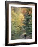 Mountain Biking on Old Logging Road of Rice Hill, Green Mountains, Vermont, USA-Jerry & Marcy Monkman-Framed Photographic Print