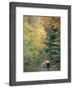 Mountain Biking on Old Logging Road of Rice Hill, Green Mountains, Vermont, USA-Jerry & Marcy Monkman-Framed Photographic Print