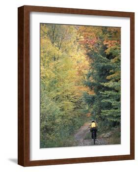 Mountain Biking on Old Logging Road of Rice Hill, Green Mountains, Vermont, USA-Jerry & Marcy Monkman-Framed Photographic Print