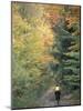 Mountain Biking on Old Logging Road of Rice Hill, Green Mountains, Vermont, USA-Jerry & Marcy Monkman-Mounted Photographic Print