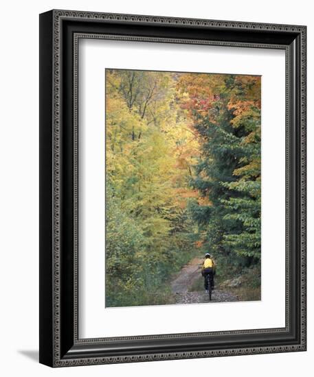 Mountain Biking on Old Logging Road of Rice Hill, Green Mountains, Vermont, USA-Jerry & Marcy Monkman-Framed Photographic Print