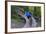 Mountain biking on the Over the Edge Trail, Copper Harbor, Michigan-Chuck Haney-Framed Photographic Print