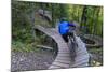 Mountain biking on the Over the Edge Trail, Copper Harbor, Michigan-Chuck Haney-Mounted Photographic Print