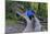 Mountain biking on the Over the Edge Trail, Copper Harbor, Michigan-Chuck Haney-Mounted Photographic Print