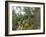 Mountain biking on the Stairway to Heaven Trail in Copper Harbor, Michigan, USA-Chuck Haney-Framed Photographic Print