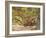 Mountain Biking on the Thompson Loop, Tsali Recreation Area, North Carolina, USA-Chuck Haney-Framed Photographic Print