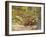 Mountain Biking on the Thompson Loop, Tsali Recreation Area, North Carolina, USA-Chuck Haney-Framed Photographic Print