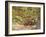 Mountain Biking on the Thompson Loop, Tsali Recreation Area, North Carolina, USA-Chuck Haney-Framed Photographic Print