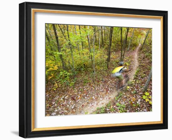 Mountain Biking on the Thompson Loop, Tsali Recreation Area, North Carolina, USA-Chuck Haney-Framed Photographic Print