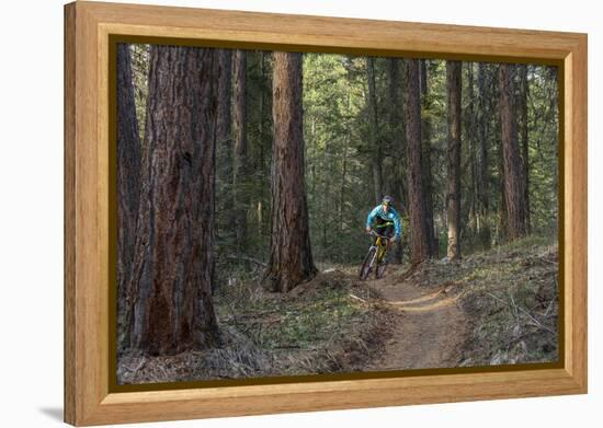 Mountain Biking on the Whitefish Trail, Montana, USA-Chuck Haney-Framed Premier Image Canvas