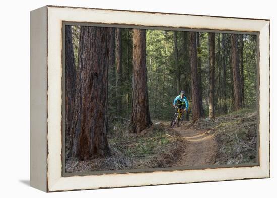 Mountain Biking on the Whitefish Trail, Montana, USA-Chuck Haney-Framed Premier Image Canvas