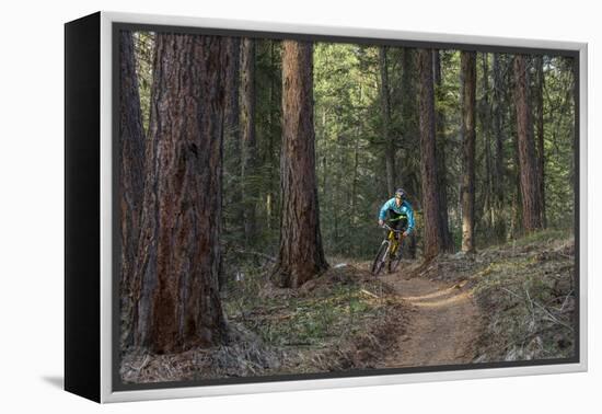 Mountain Biking on the Whitefish Trail, Montana, USA-Chuck Haney-Framed Premier Image Canvas