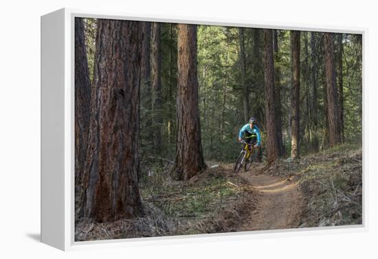 Mountain Biking on the Whitefish Trail, Montana, USA-Chuck Haney-Framed Premier Image Canvas
