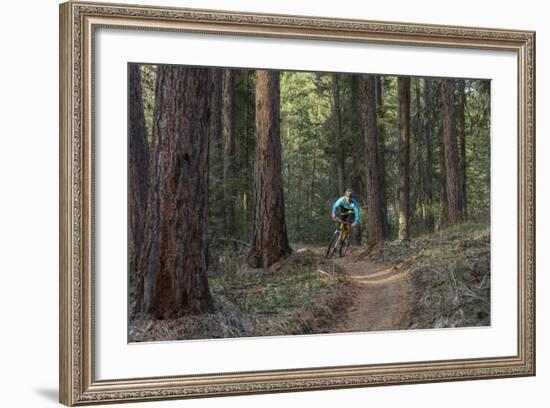 Mountain Biking on the Whitefish Trail, Montana, USA-Chuck Haney-Framed Photographic Print