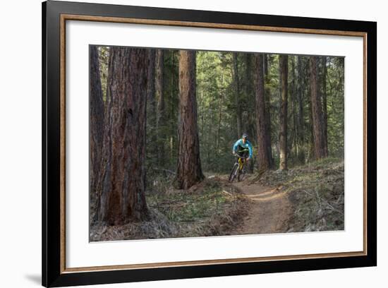 Mountain Biking on the Whitefish Trail, Montana, USA-Chuck Haney-Framed Photographic Print