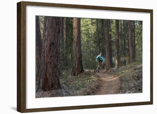 Mountain Biking on the Whitefish Trail, Montana, USA-Chuck Haney-Framed Photographic Print