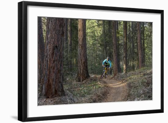 Mountain Biking on the Whitefish Trail, Montana, USA-Chuck Haney-Framed Photographic Print