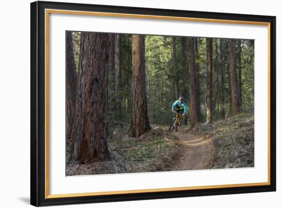 Mountain Biking on the Whitefish Trail, Montana, USA-Chuck Haney-Framed Photographic Print