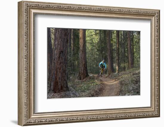 Mountain Biking on the Whitefish Trail, Montana, USA-Chuck Haney-Framed Photographic Print