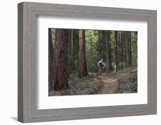 Mountain Biking on the Whitefish Trail, Montana, USA-Chuck Haney-Framed Photographic Print