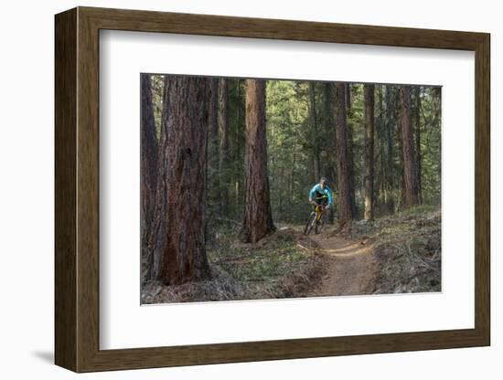 Mountain Biking on the Whitefish Trail, Montana, USA-Chuck Haney-Framed Photographic Print