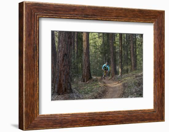 Mountain Biking on the Whitefish Trail, Montana, USA-Chuck Haney-Framed Photographic Print