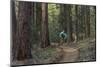 Mountain Biking on the Whitefish Trail, Montana, USA-Chuck Haney-Mounted Photographic Print