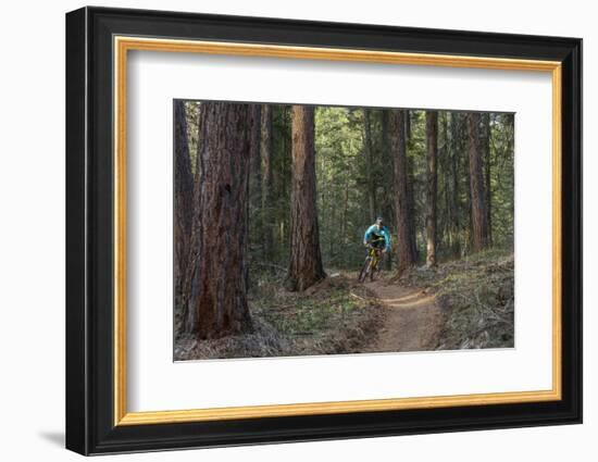 Mountain Biking on the Whitefish Trail, Montana, USA-Chuck Haney-Framed Photographic Print