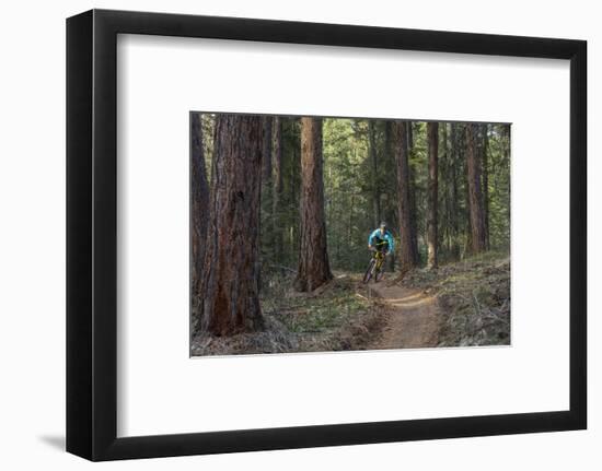 Mountain Biking on the Whitefish Trail, Montana, USA-Chuck Haney-Framed Photographic Print