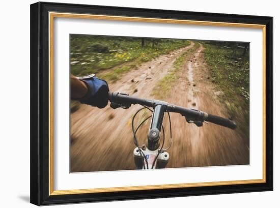 Mountain Biking The Dowd Mountain Loop, Flaming Gorge, Utah-Louis Arevalo-Framed Photographic Print