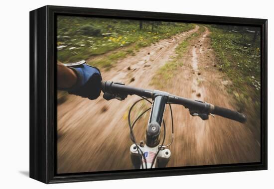 Mountain Biking The Dowd Mountain Loop, Flaming Gorge, Utah-Louis Arevalo-Framed Premier Image Canvas