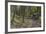 Mountain Biking the Whitefish Trail Near Whitefish, Montana, USA-Chuck Haney-Framed Photographic Print