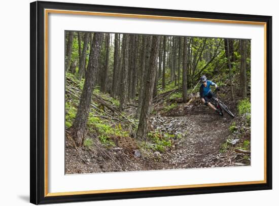 Mountain Biking the Whitefish Trail Near Whitefish, Montana, USA-Chuck Haney-Framed Photographic Print