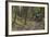 Mountain Biking the Whitefish Trail Near Whitefish, Montana, USA-Chuck Haney-Framed Photographic Print