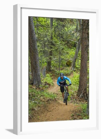 Mountain Biking the Whitefish Trail Near Whitefish, Montana, USA-Chuck Haney-Framed Photographic Print