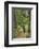 Mountain Biking the Whitefish Trail Near Whitefish, Montana, USA-Chuck Haney-Framed Photographic Print