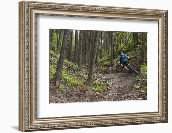 Mountain Biking the Whitefish Trail Near Whitefish, Montana, USA-Chuck Haney-Framed Photographic Print